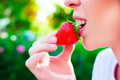 Illustration savour - Image 1