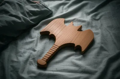 Hình ảnh minh họa paddles - Ảnh 1