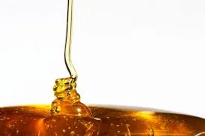 Illustration thick - Image 2