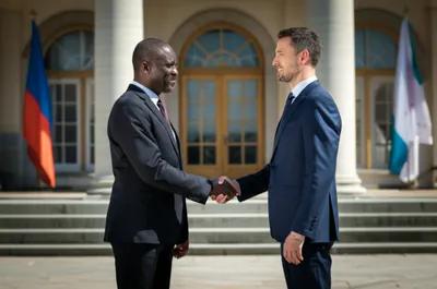 Illustration ambassadors