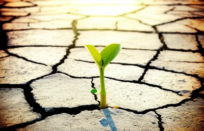 Illustration persisted - Image 1