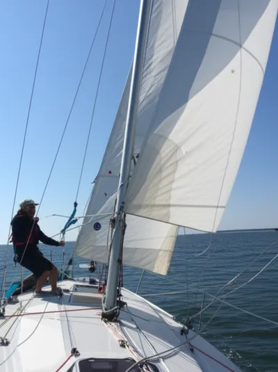 Illustration veer - Image 1