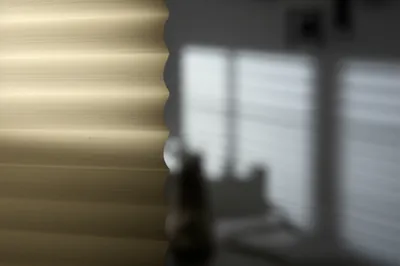 Illustration verticals - Image 1