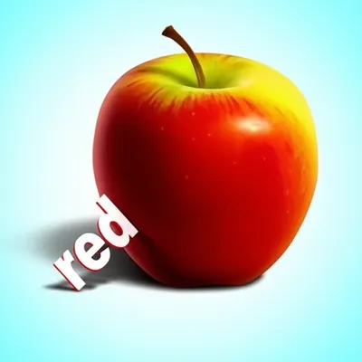 Illustration prenominal - Image 1