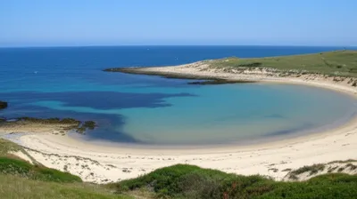 Illustration sinuses - Image 1