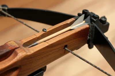 Illustration chases - Image 1