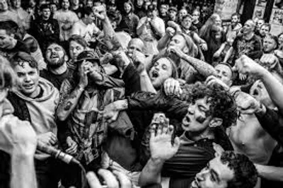 Illustration ferment - Image 2