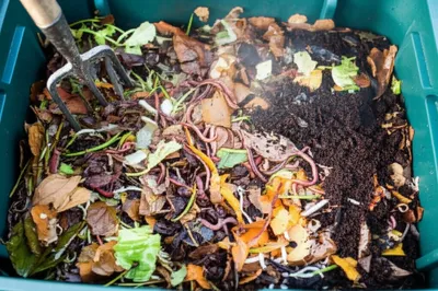 Illustration activating - Image 1