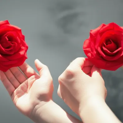 Illustration discerning - Image 1