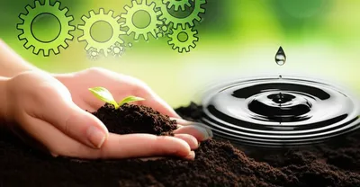 Illustration making - Image 1