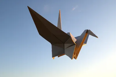 Illustration deploying - Image 1