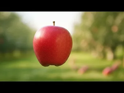 Illustration falls - Image 1