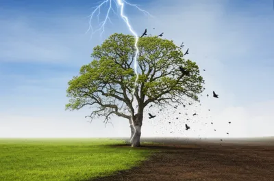 Illustration bolts - Image 1