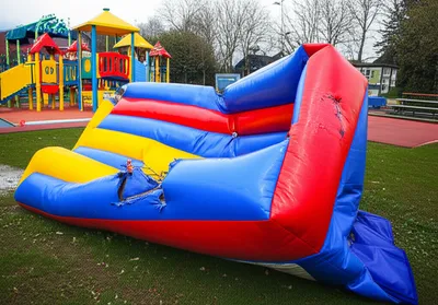 Illustration bladders - Image 1