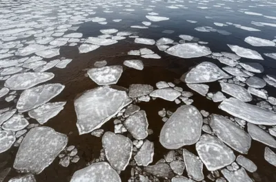 Illustration sludge - Image 1