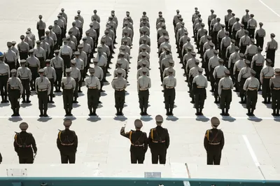 Illustration parade - Image 1