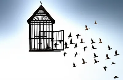 Illustration liberating