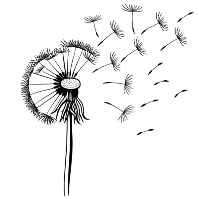 Illustration diminish - Image 1