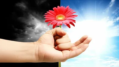 Illustration relented