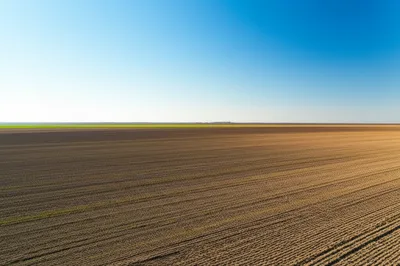 Illustration field - Image 1