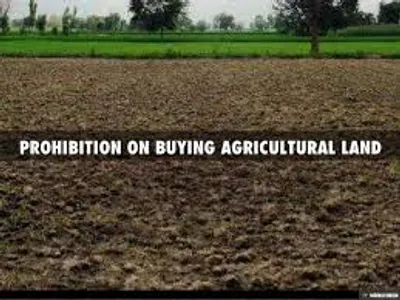 Illustration inhibition - Image 4