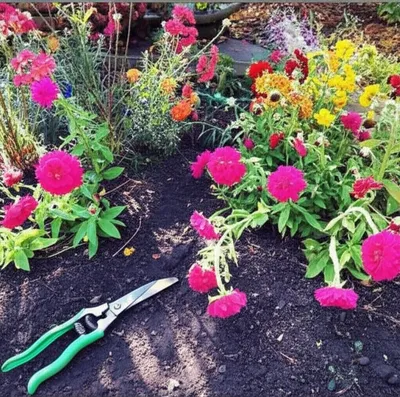 Illustration neuter - Image 1