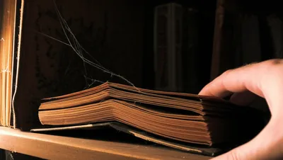 Illustration tables - Image 1