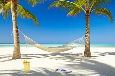 Illustration relaxes - Image 1