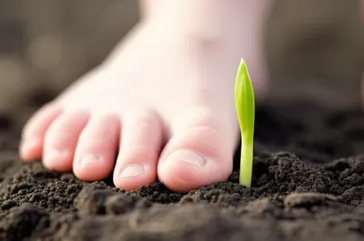 Illustration barefoot - Image 1