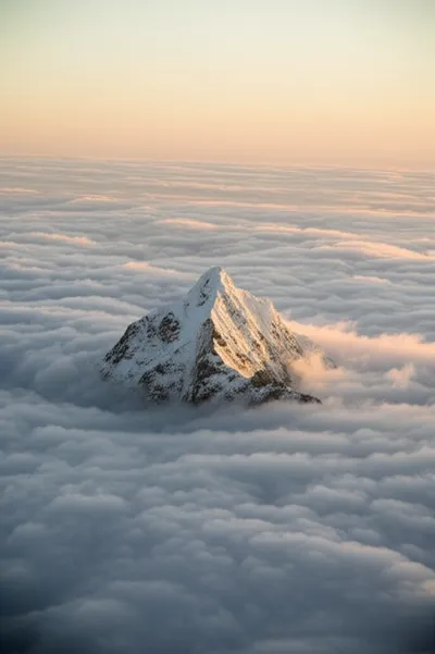 Illustration topped - Image 1