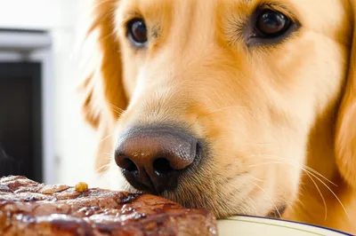 Illustration drooling - Image 1