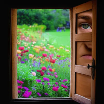 Illustration glimpses