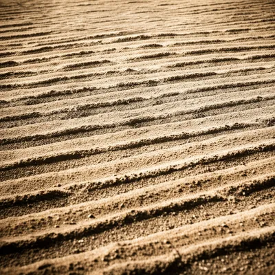 Illustration scarify - Image 1