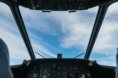 Illustration canopy - Image 1