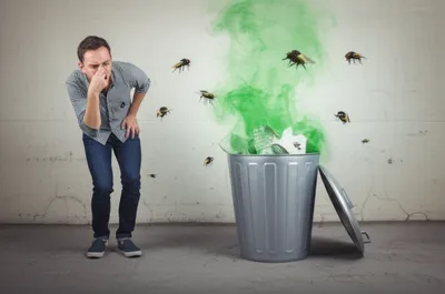 Illustration stinks - Image 1