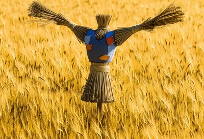 Illustration scarecrow - Image 1