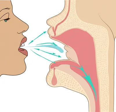 Illustration whistles - Image 1