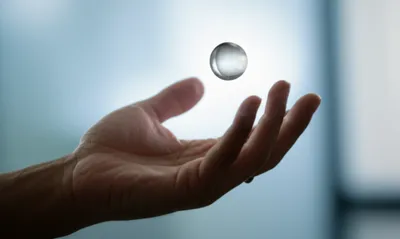 Illustration find - Image 1