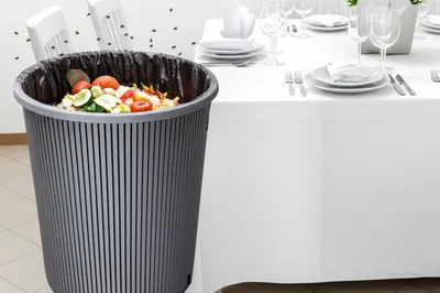 Illustration grossly - Image 1