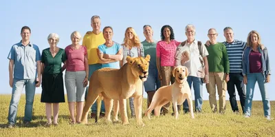 Illustration adults - Image 2