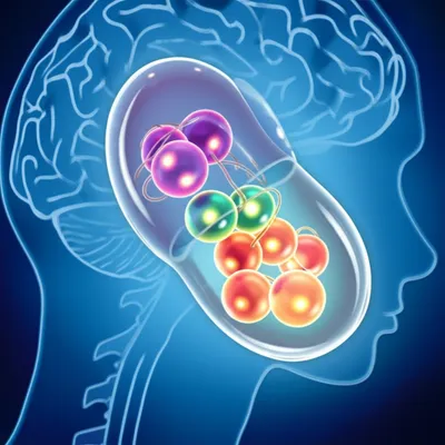 Illustration ganglion - Image 1