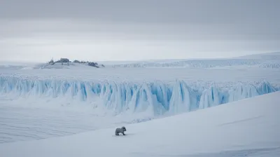 Illustration glacials - Image 1