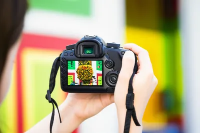 Illustration photograph - Image 1