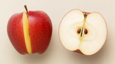 Illustration twinned - Image 1