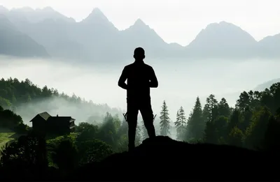 Illustration reclusive