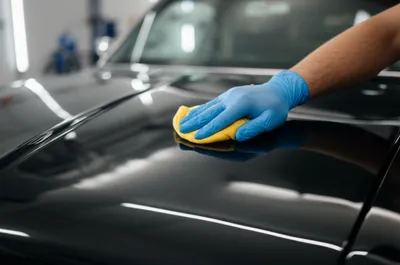 Illustration detailing - Image 1