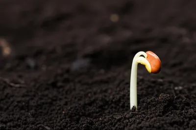 Illustration inchoative - Image 1