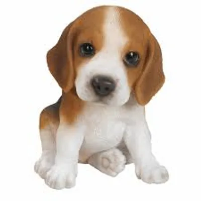 Illustration pup - Image 2