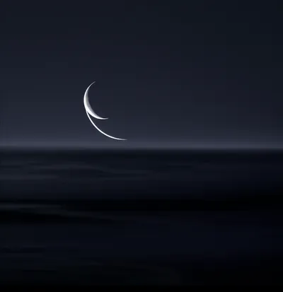 Illustration waxed - Image 1