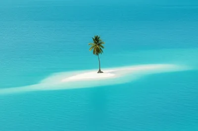 Illustration digits - Image 1